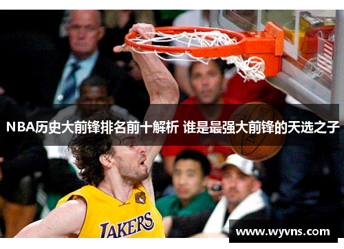 NBA历史大前锋排名前十解析 谁是最强大前锋的天选之子